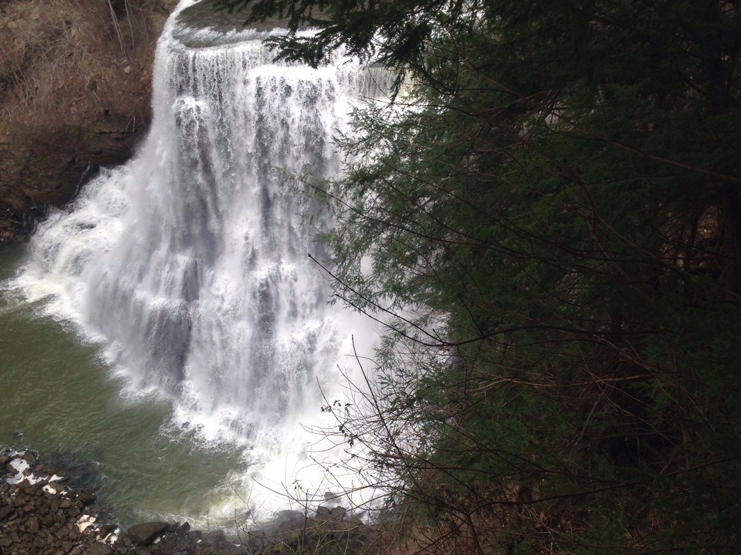 Crossville旅游攻略图片