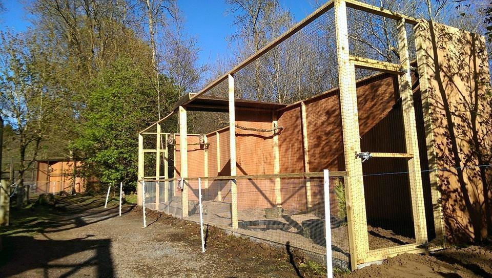 Randalstown旅游攻略图片