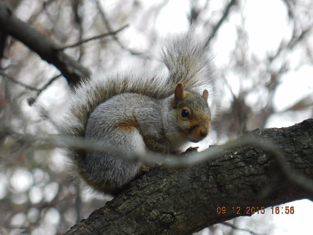 Riverside旅游攻略图片