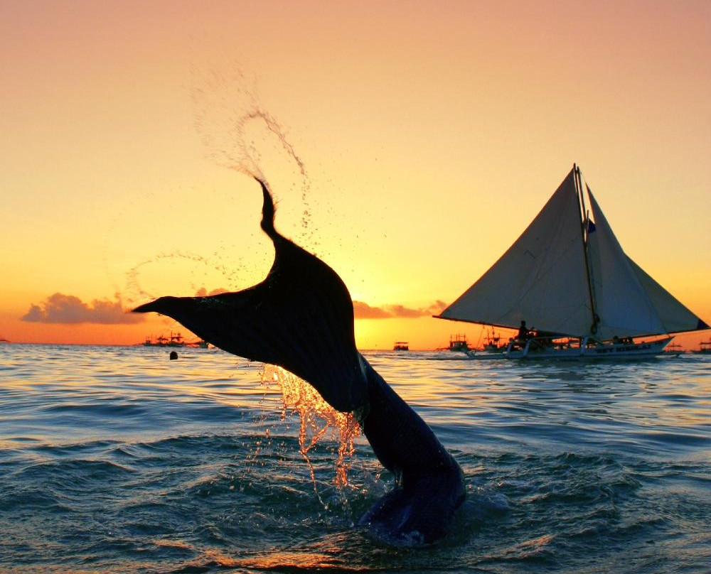 Philippine Mermaid Swimming Academy-长滩岛必去景点