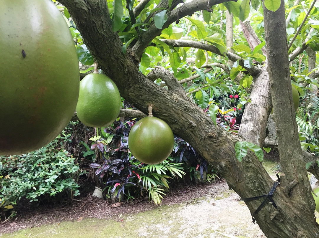 Barabidoo Farm景点图片