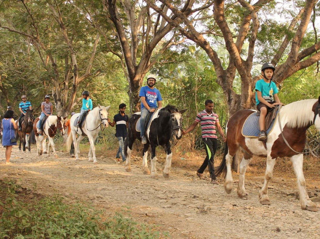 Japalouppe Equestrian Centre景点图片