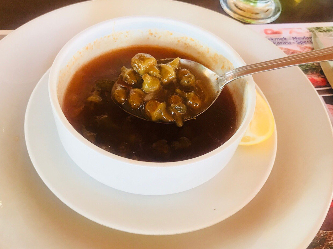Demirkiran Sille
