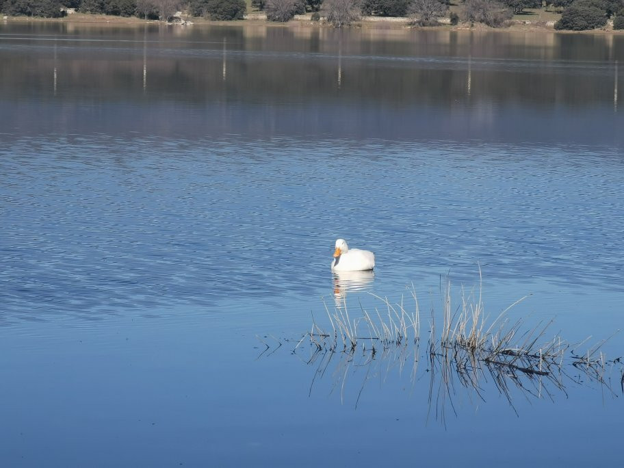 Embalse de Valmayor-Colmenarejo必去景点
