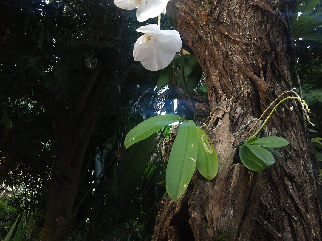 Pousada do Namorado主图