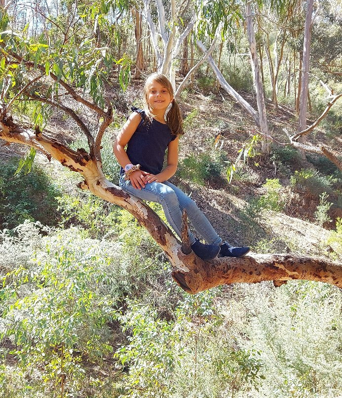 Morialta Conservation Park景点图片