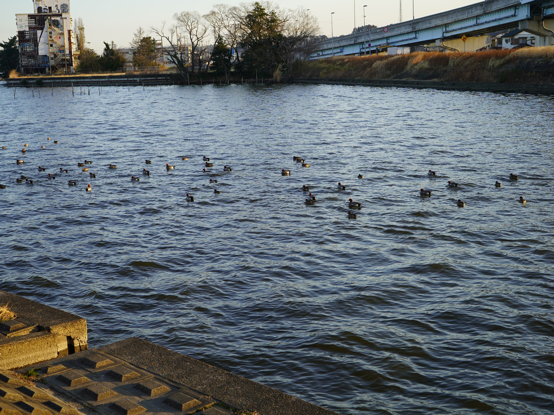 Hakkenzeki-龙崎市必去景点