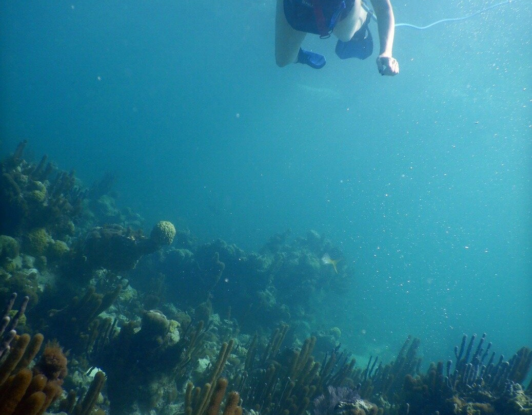 SNUBA Turks and Caicos-普罗维登西亚莱斯必去景点
