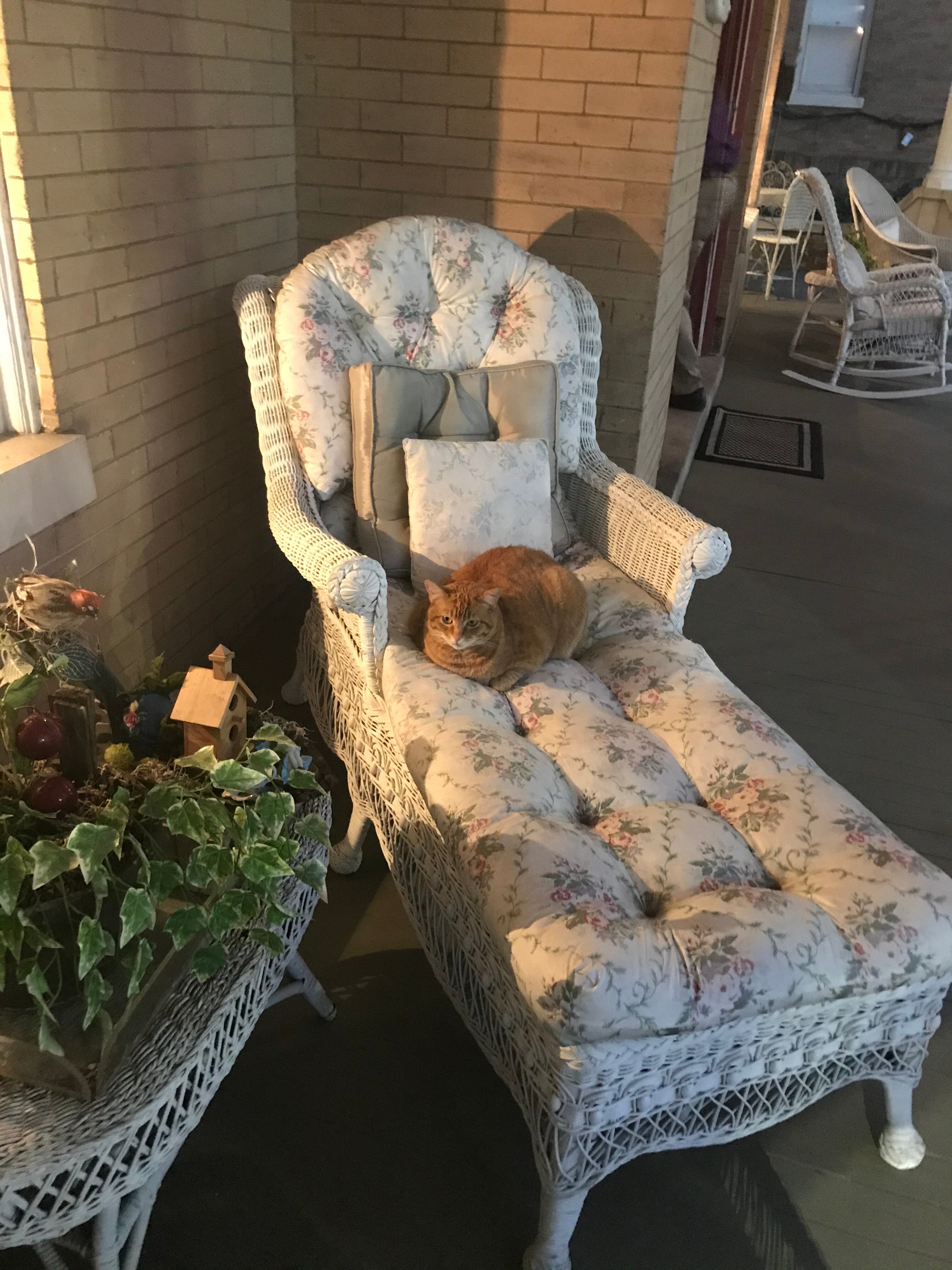 Hassinger Daniels Mansion Bed and Breakfast-portrait