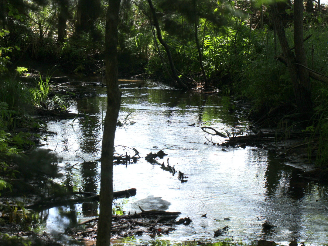 Franklin Lake Nature Trail-伊格尔里弗必去景点