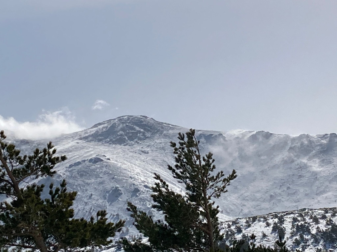 Parque Nacional de la Sierra de Guadarrama-马德里必去景点