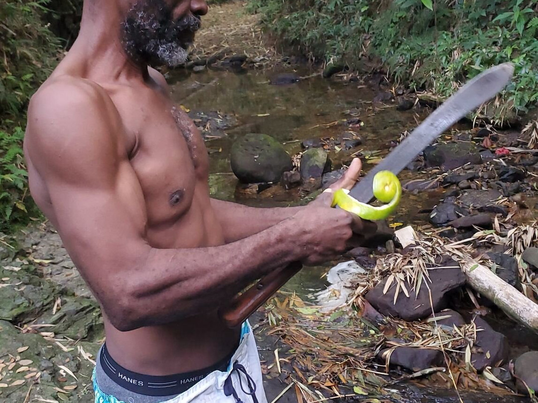Bim's Jamaican Jungle Adventure Hike景点图片