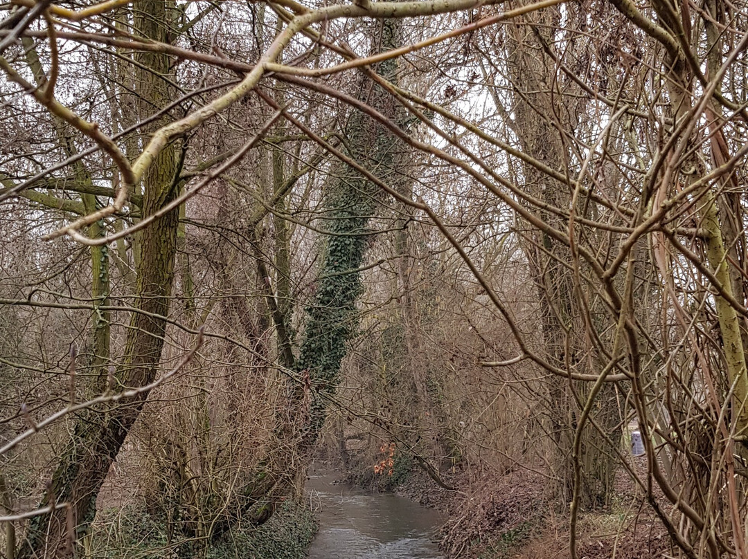 Parco della Vernavola-帕维亚必去景点