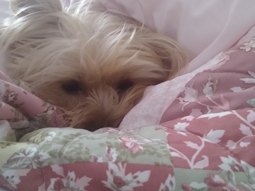 Home2 Suites by Hilton Hot Springs主图