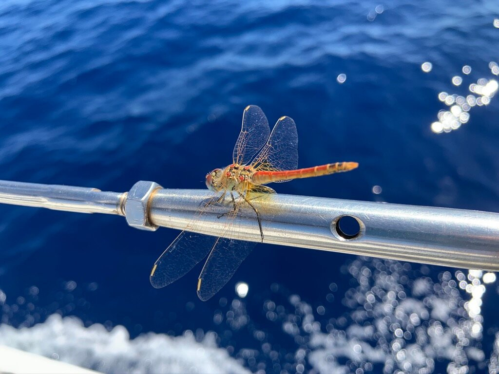 PoppaPrua Eolie Charter di Mario Marcianò景点图片