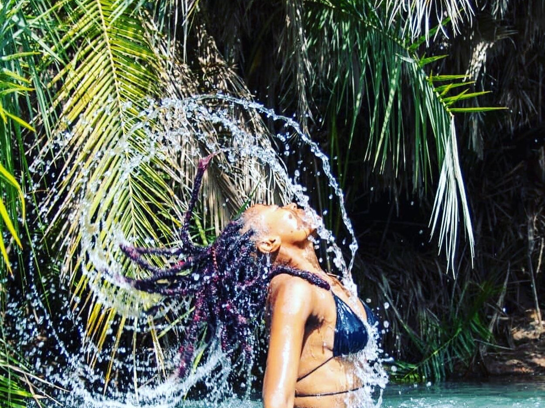 Tanzania Serengeti Wildebeest Migration Safari from Arusha and Moshi with AFRICA NATURAL TOURS LTD-Usa River必去景点