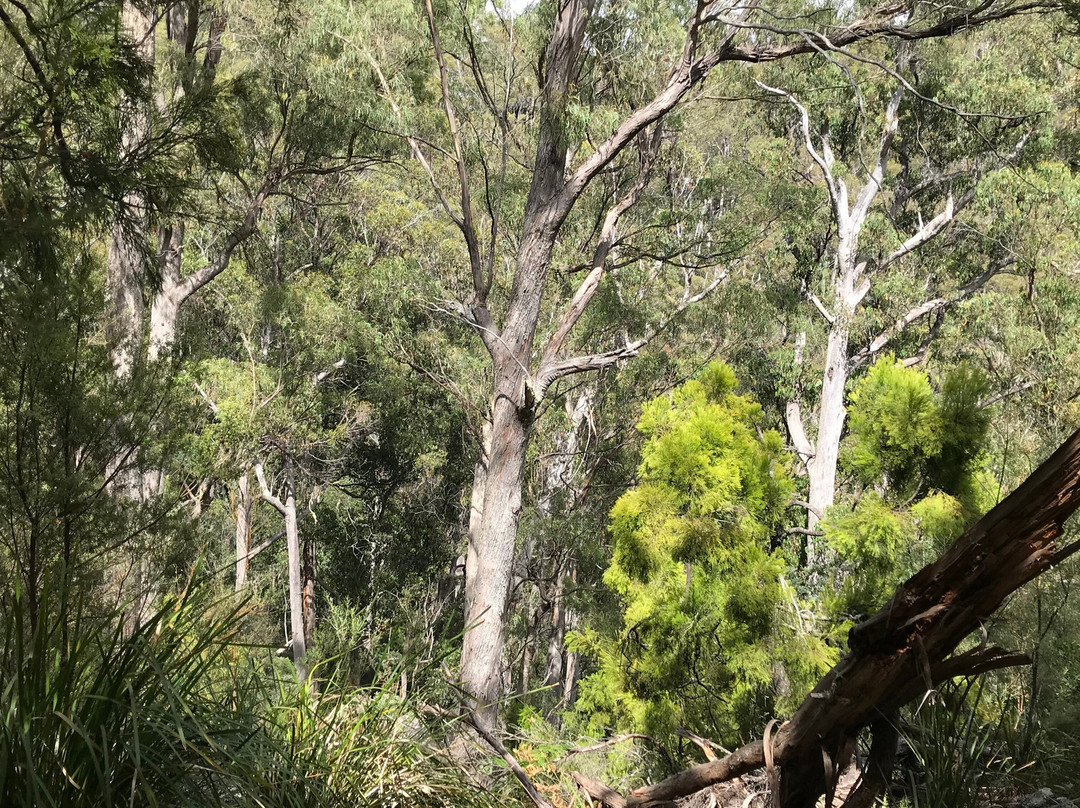 Alum Cliffs-Chudleigh必去景点