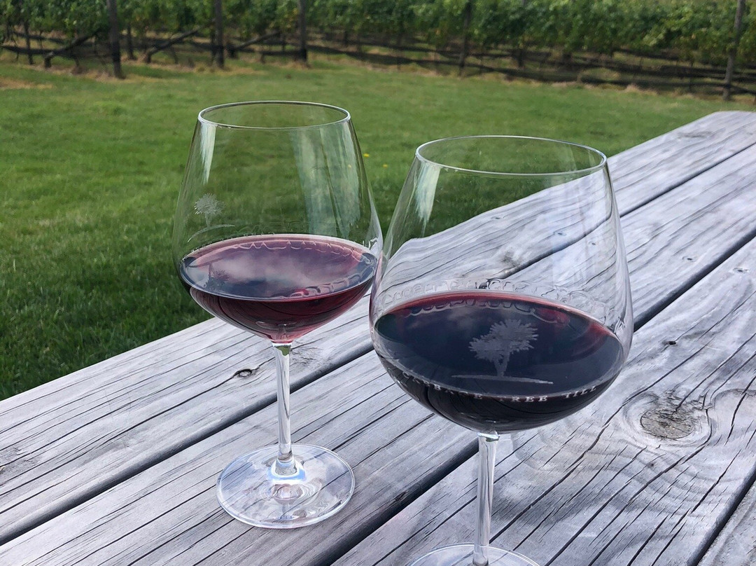 Cabbage Tree Hill Wines-Beaconsfield必去景点