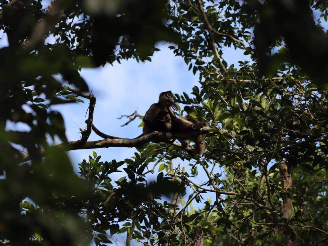Tours in Calakmul Abel-Xpujil Town必去景点