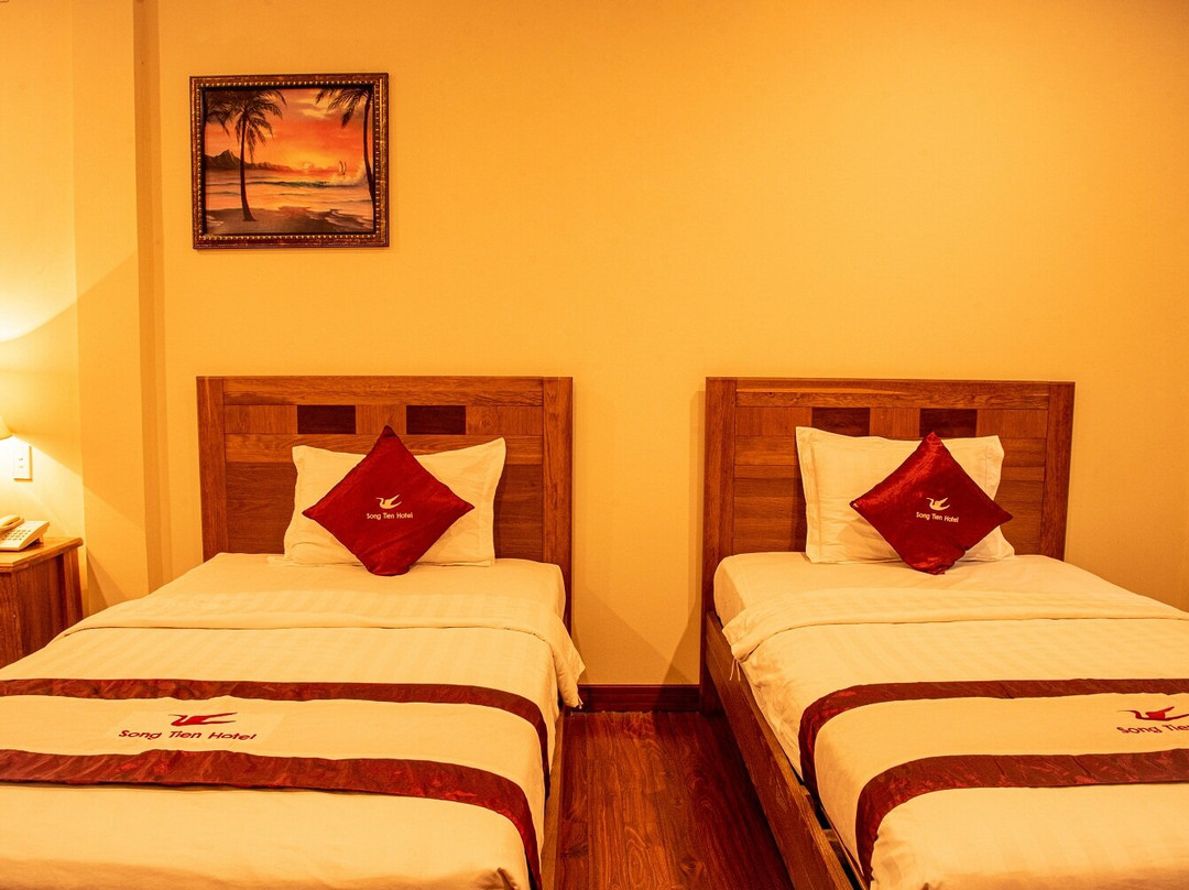 Song Tien Annex Hotel主图