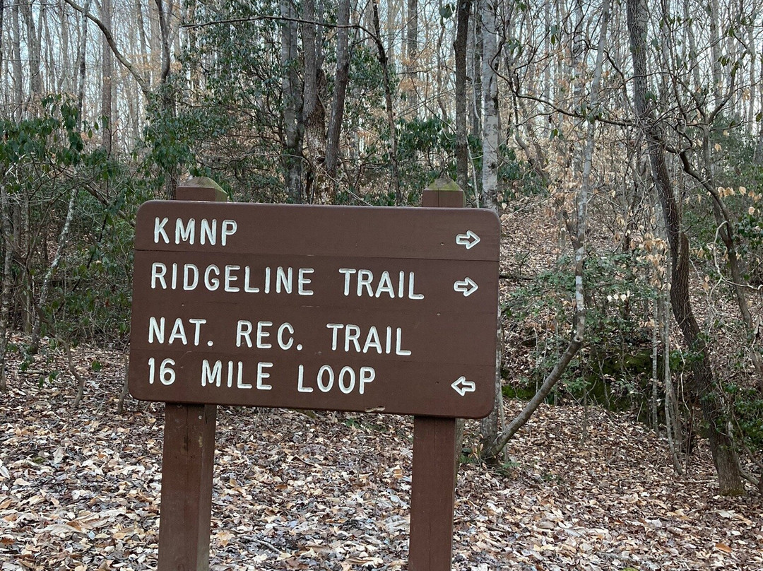 Kings Mountain State Park-Blacksburg必去景点