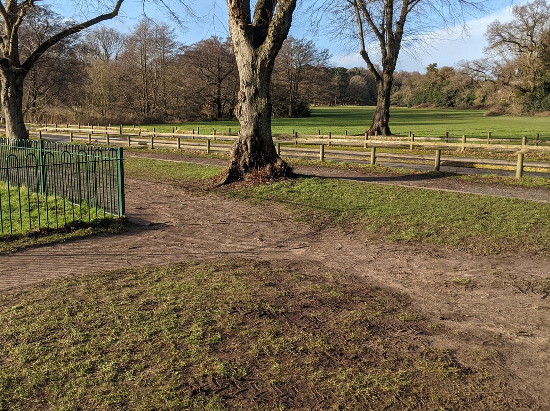 Sutton Park National Nature Reserve-萨顿科尔菲尔德必去景点
