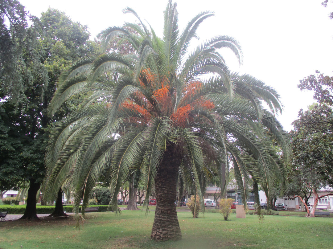 Plaza Ruiz de Arellano景点图片