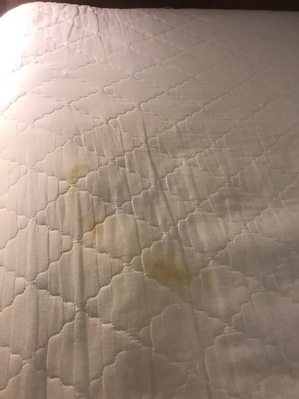 SpringHill Suites by Marriott Atlanta Six Flags主图