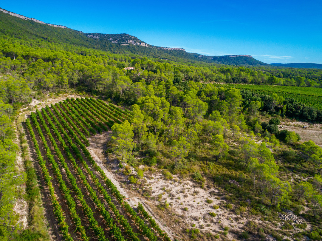 Domaine de Villeneuve-Claret必去景点