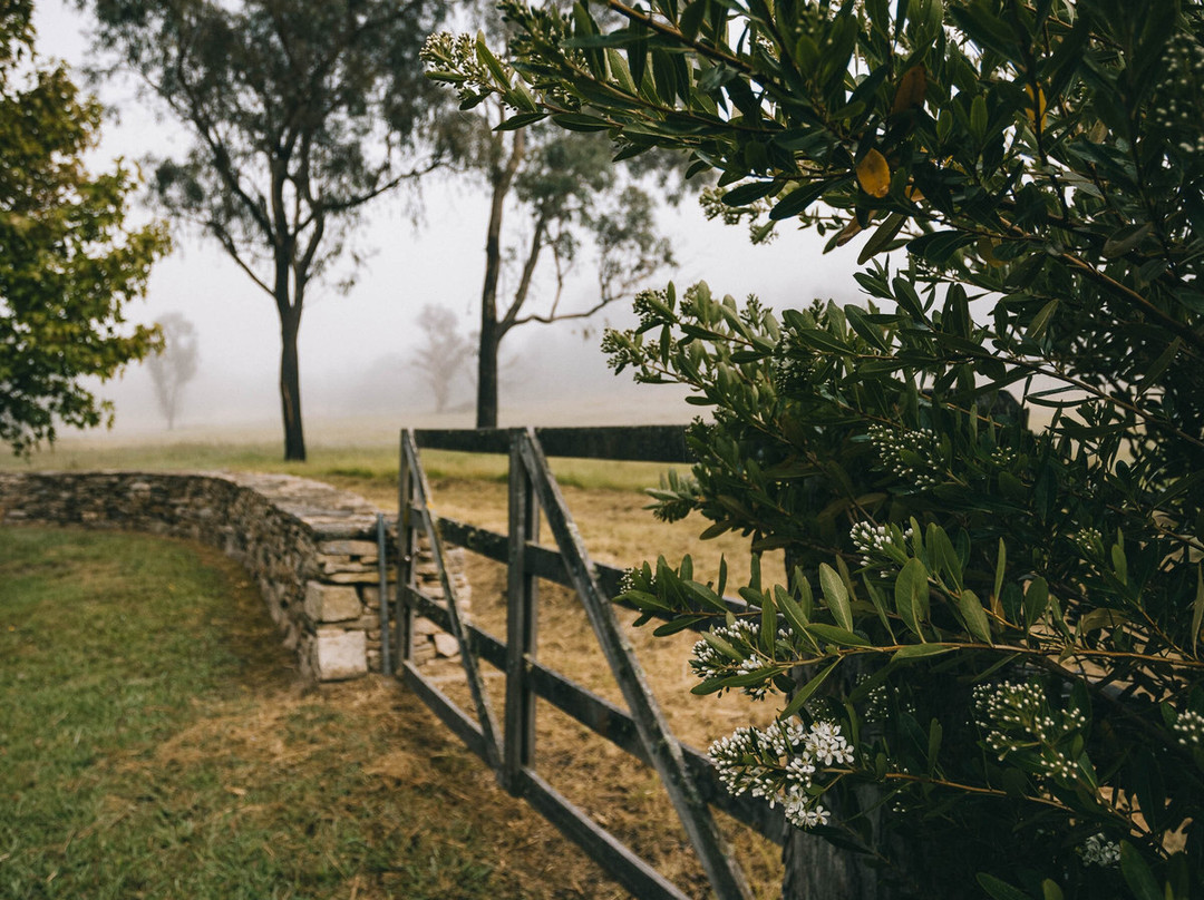 Glenrock Gardens景点图片