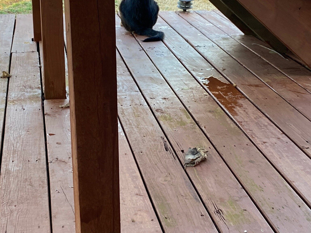 The Carriage House Inn主图