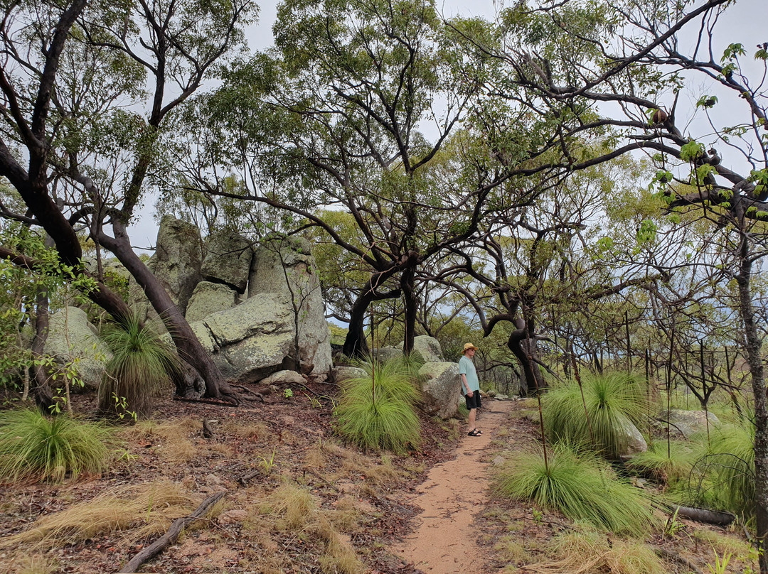 Nelly Bay to Arcadia Trail-Nelly Bay必去景点