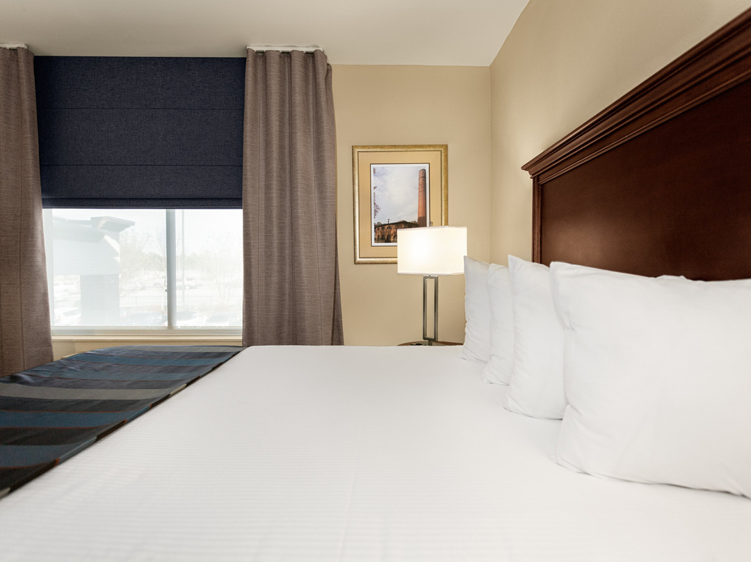 Wingate by Wyndham Columbia / Lexington主图