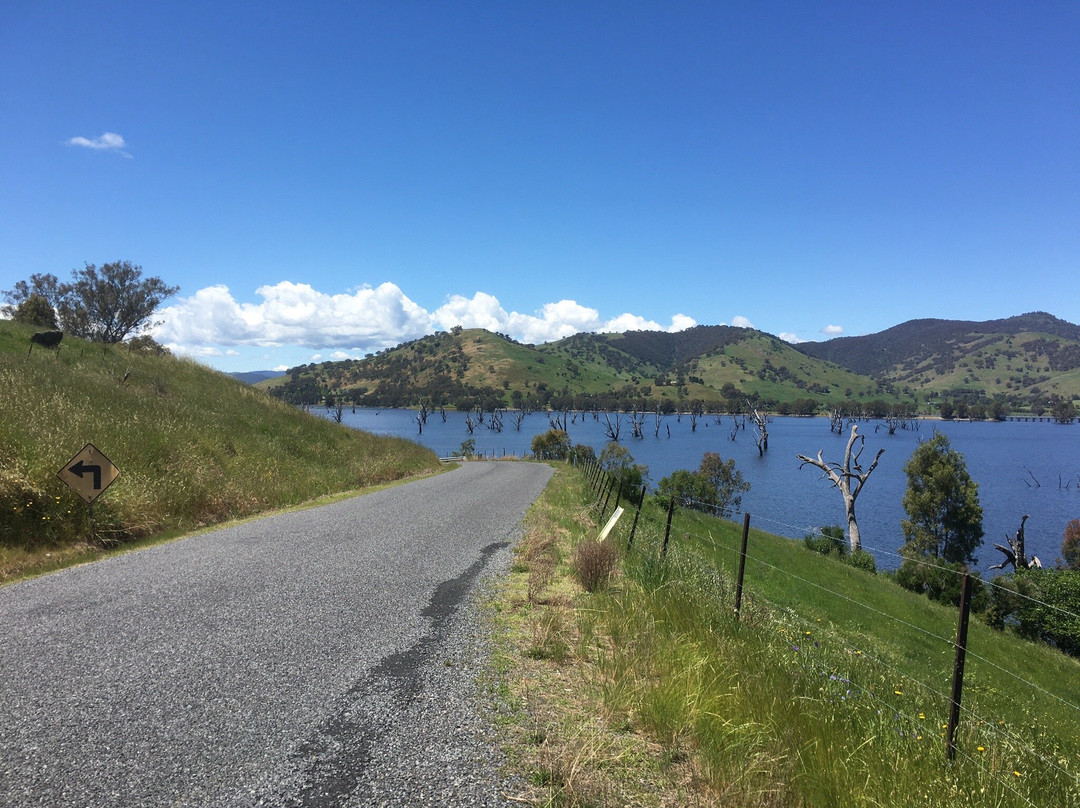 Tallangatta Foreshore景点图片