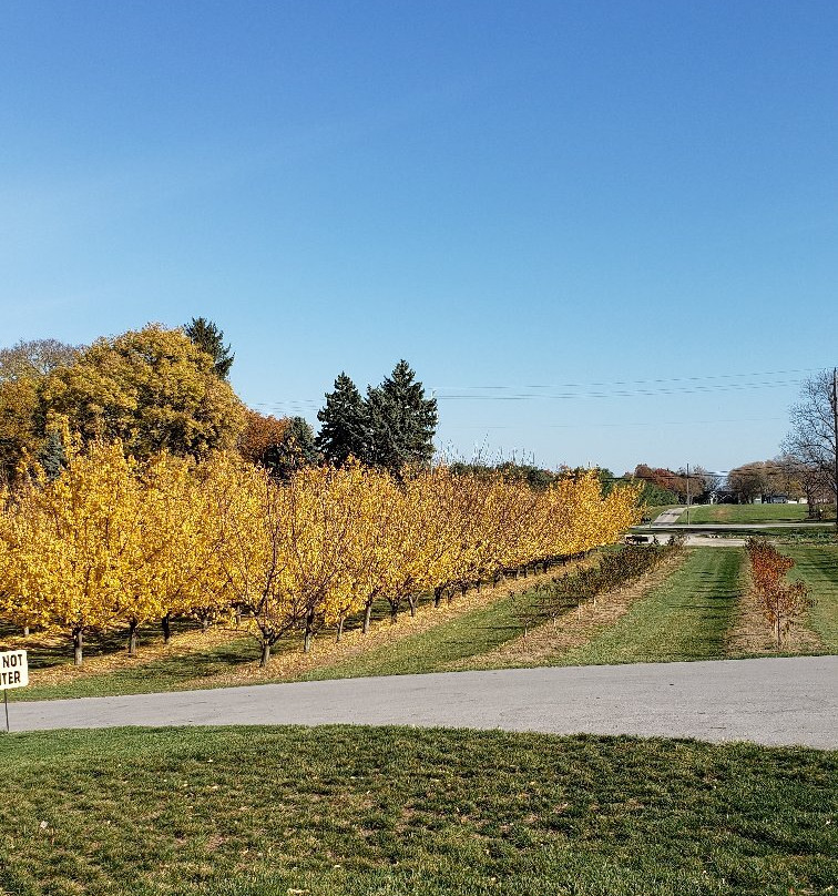 Twin Oast Brewing-克林顿港必去景点