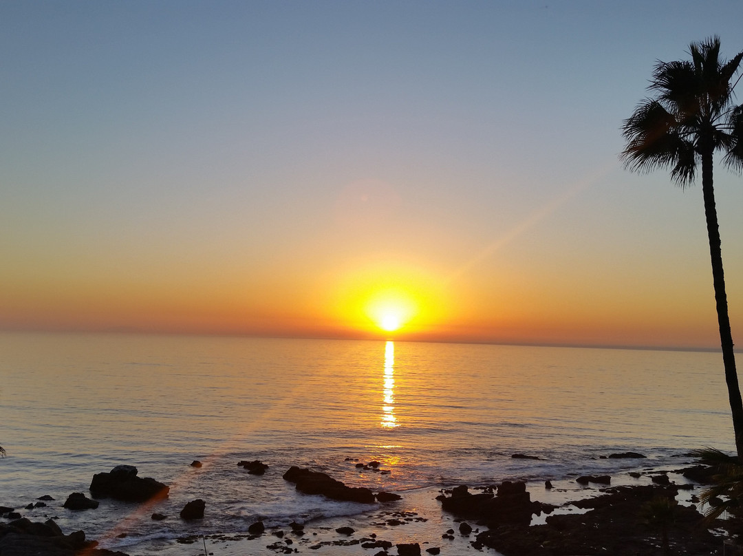 Las Rosas Hotel & Spa主图