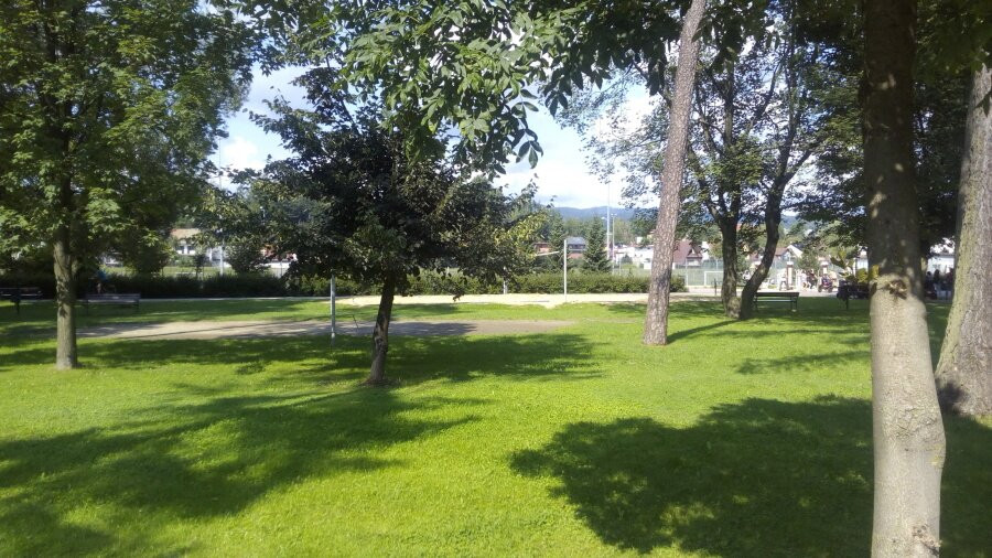 The City Park. Adam Mickiewicz