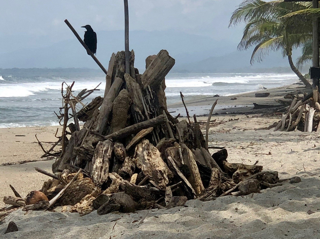 Playa Pikua Ecolodge主图