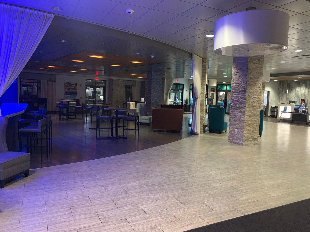 The Mosey Buffalo Williamsville Tapestry Collection Hilton主图