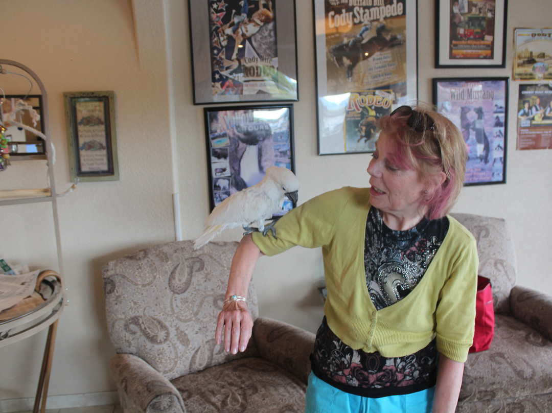 Carter Mountain Motel主图