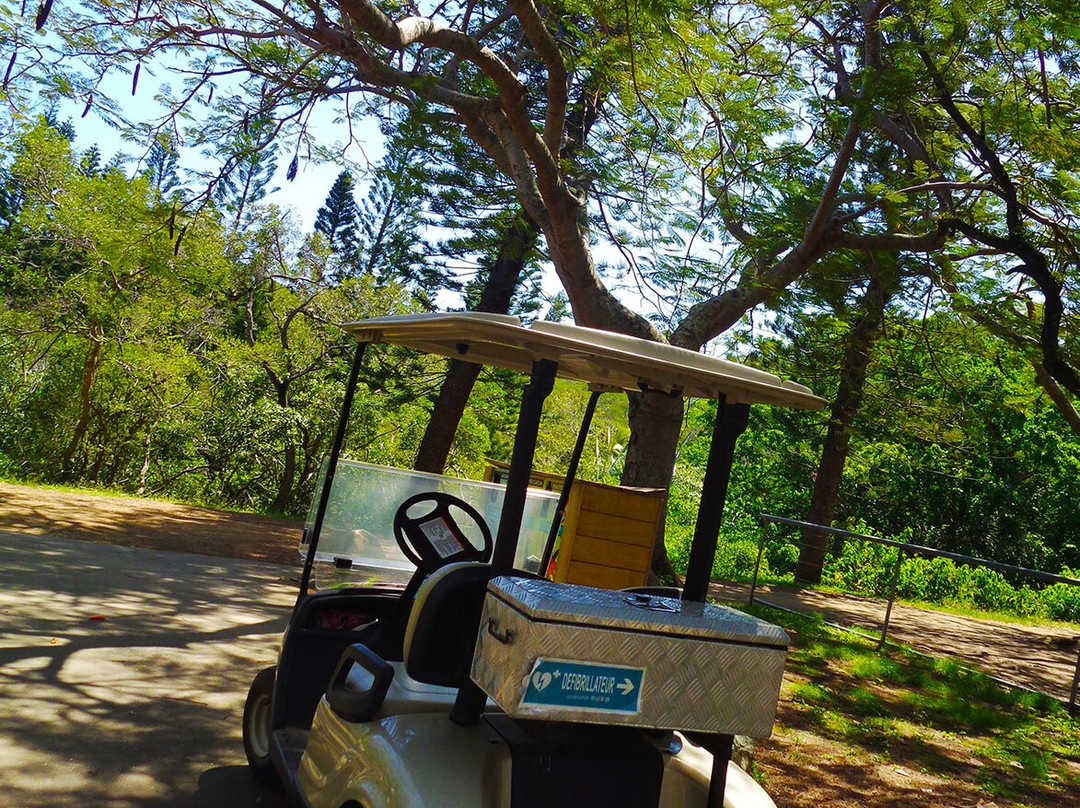 Parc zoologique et forestier-努美阿必去景点