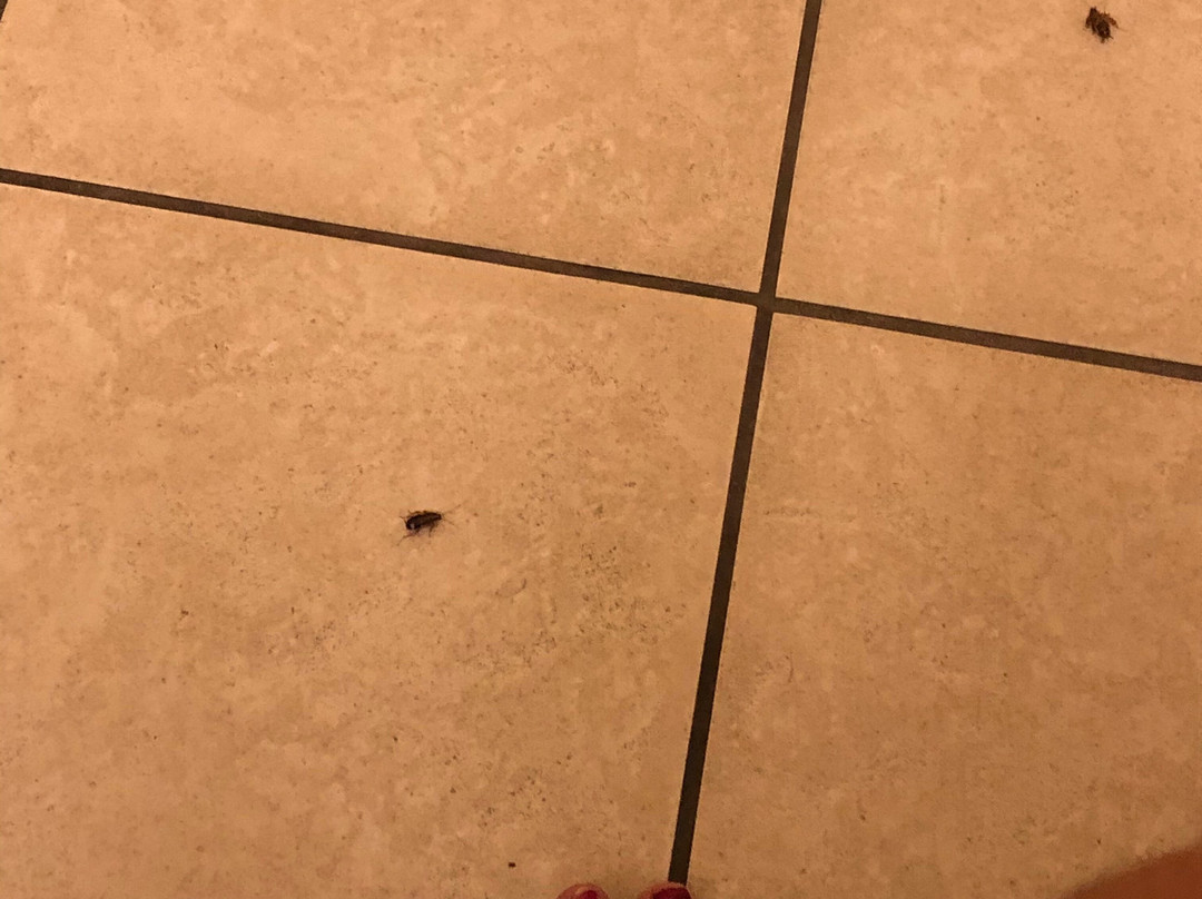 Paddletail Waterfront Lodge