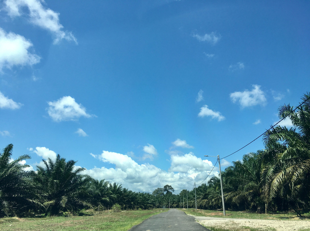 Gua Charas-Kuantan District必去景点