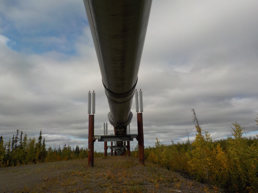 BLM Arctic Circle Monument Sign-费尔班克斯必去景点