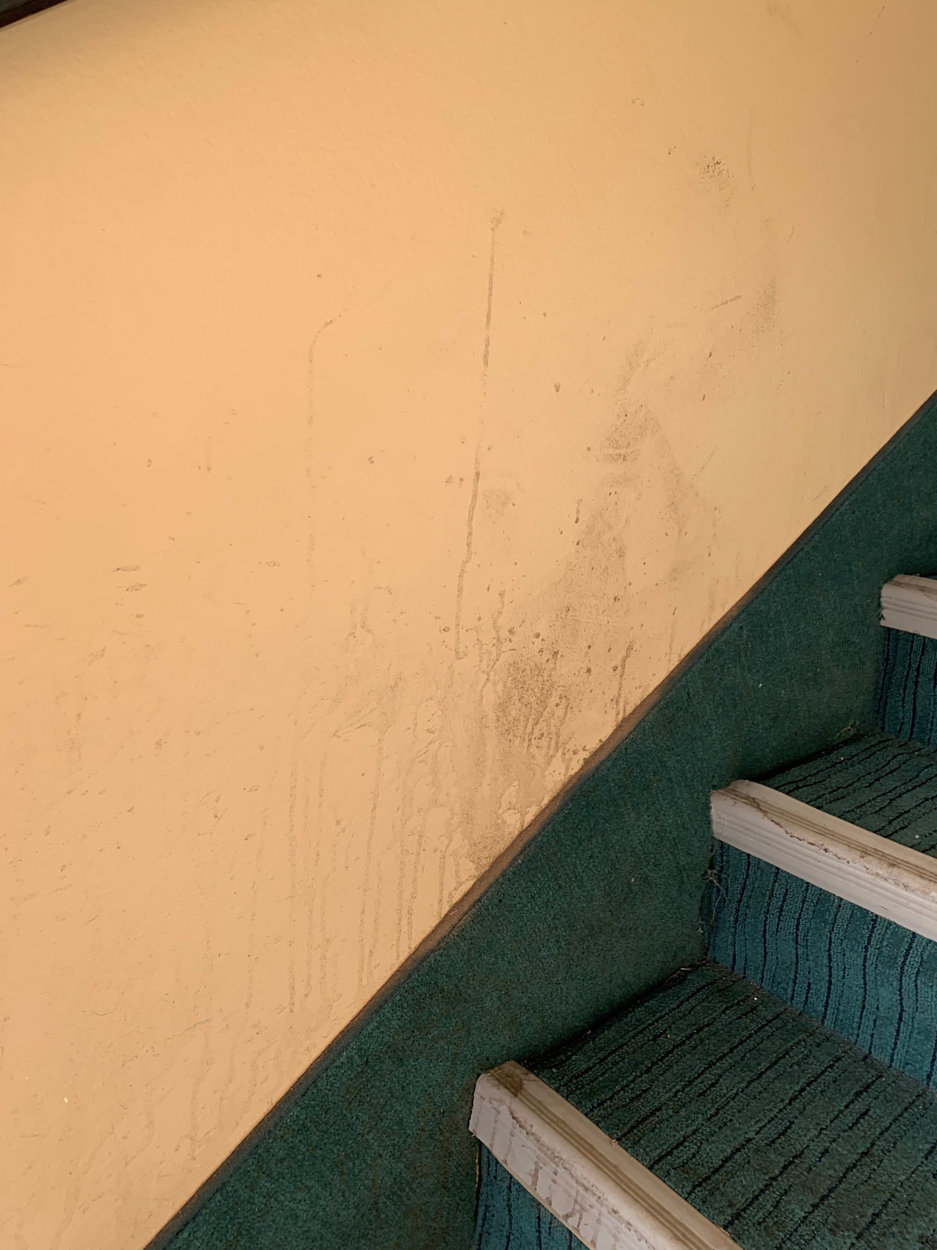 Residence Inn by Marriott Champaign-浴室