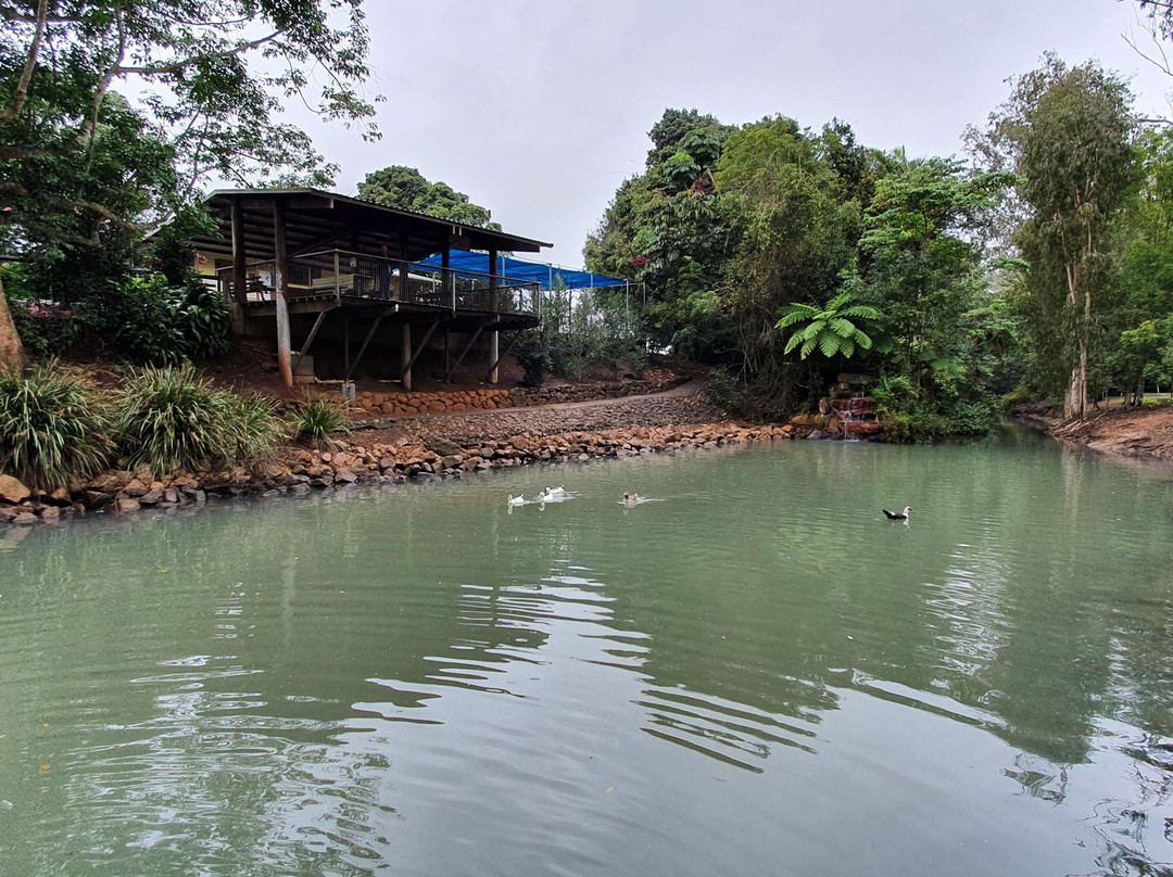 Platypus Park- 阿瑟顿必去景点