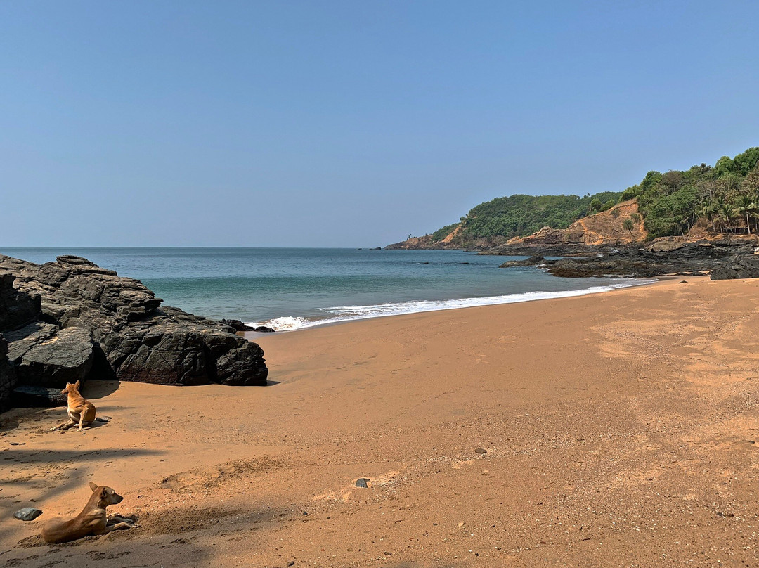 Kahani Paradise主图