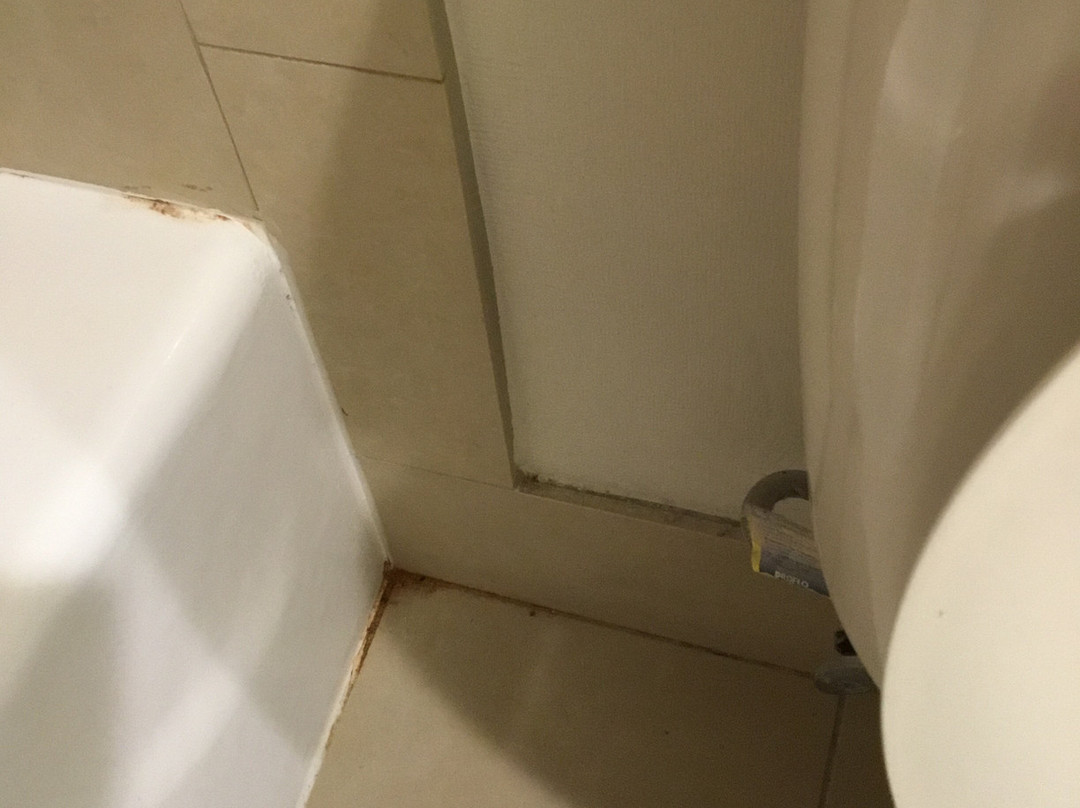 奥马哈阿克萨套房主图