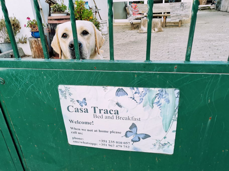 Casa Traca主图