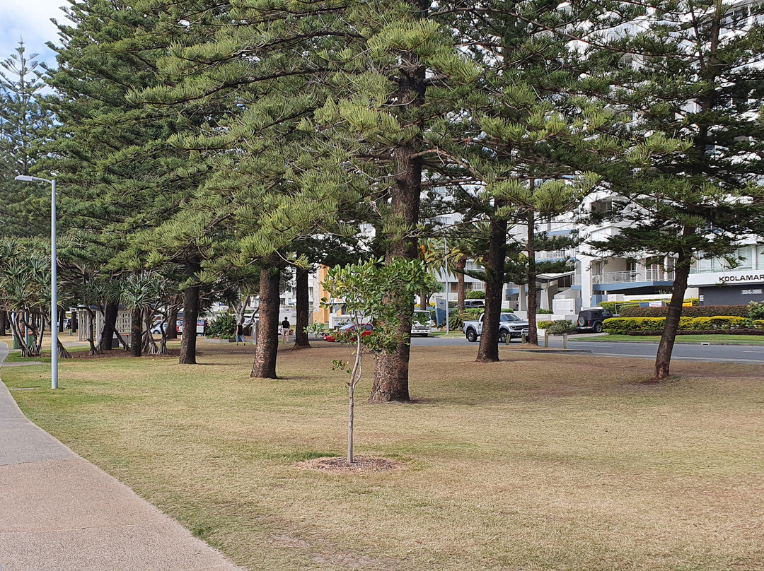 Reg Chesters Park